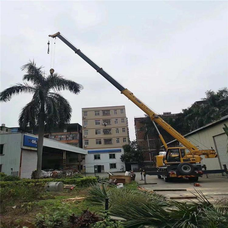 安阳汽车吊出租多少钱？全面解析与市场行情